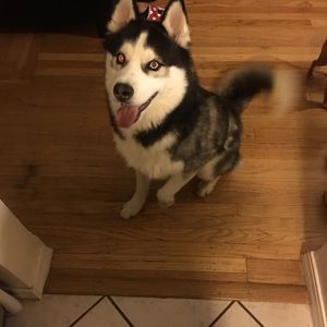 Meet your Posher, Celeste